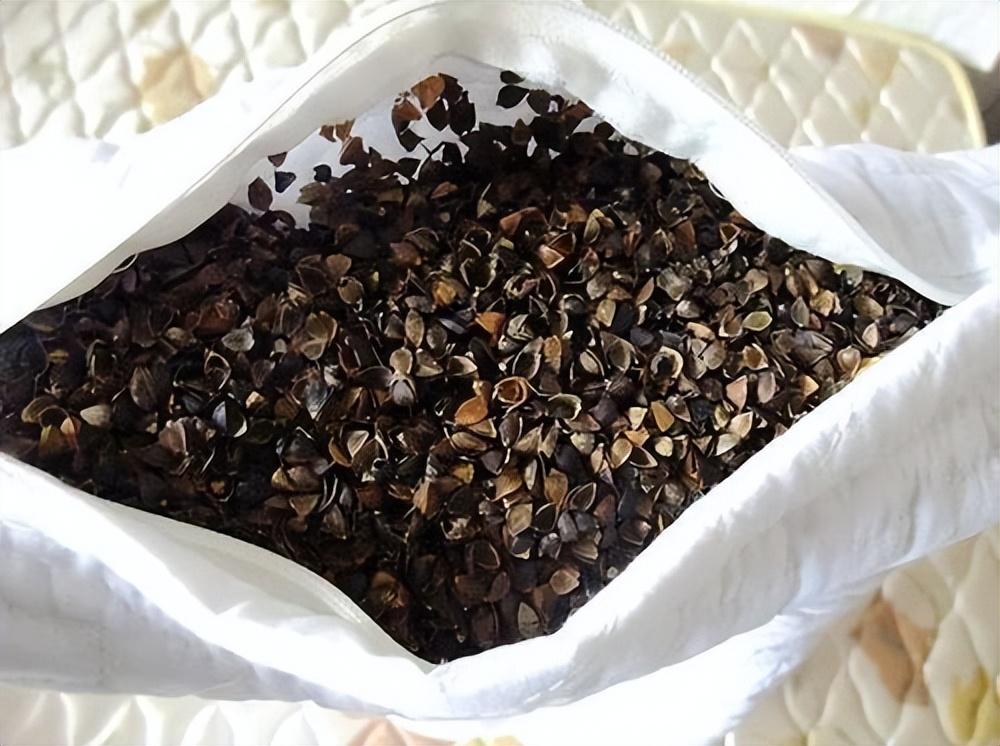 荞麦枕可以清洗吗_荞麦枕怎么清洗