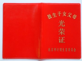 独生子女父母怎么养老_独生子女父母的养老条件