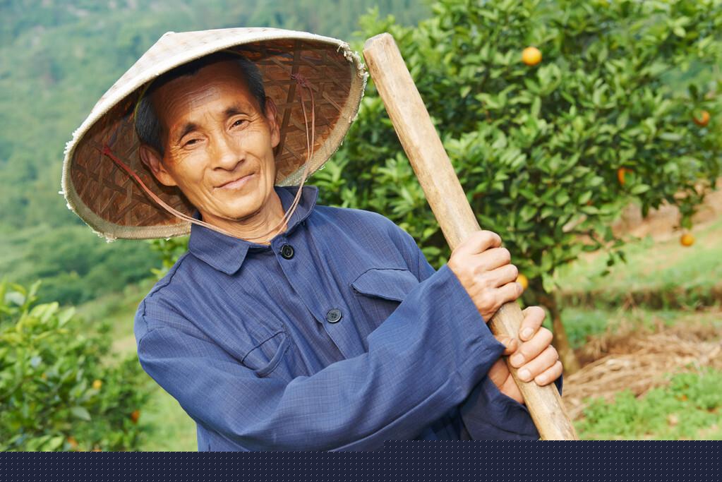 火葬土葬哪个好_火葬和土葬的区别