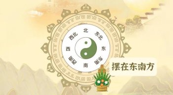 富贵竹怎么摆放_富贵竹的摆放位置