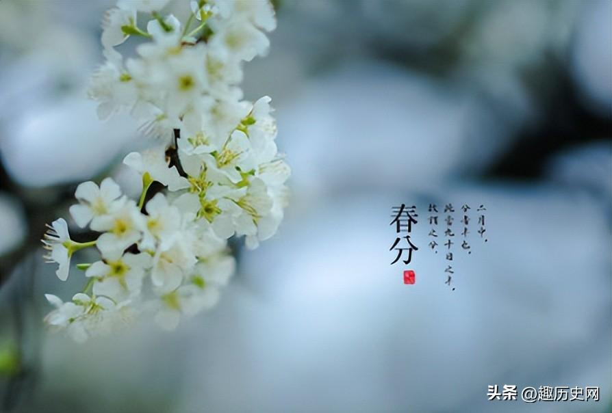 春分的节名有何含义_春分的含义和习俗