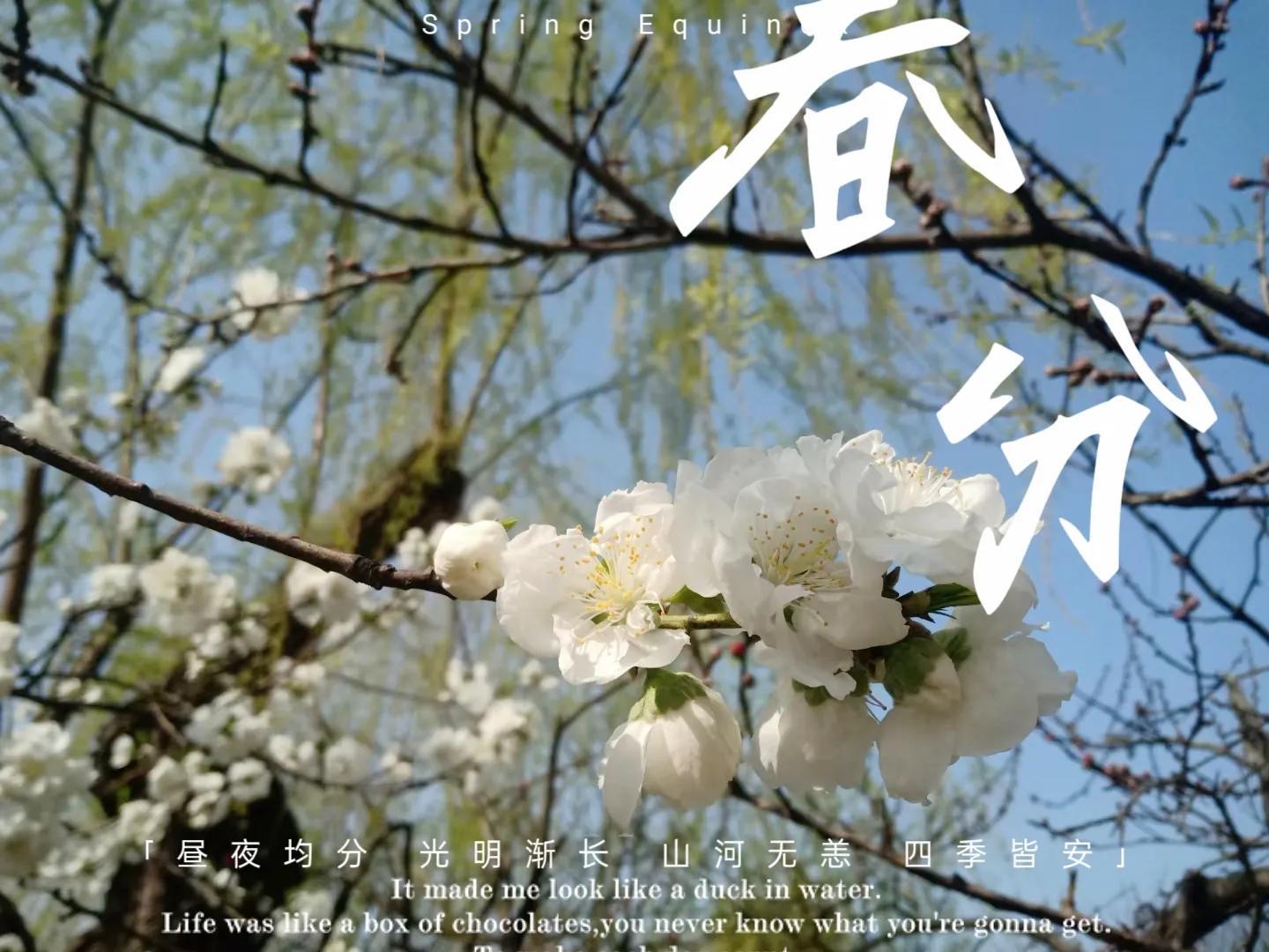 春分是什么意思_春分节气的由来及习俗
