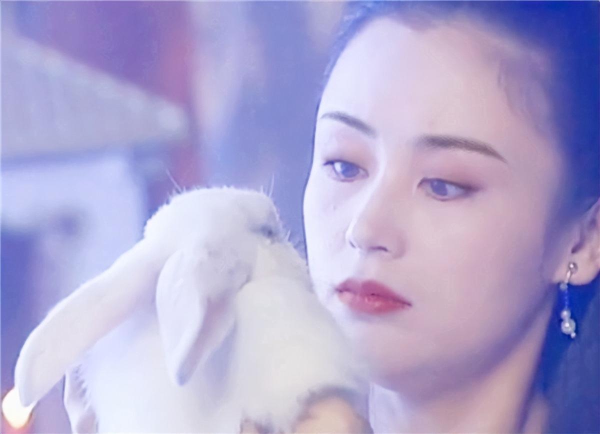 月球有什么秘密_月球背后的秘密