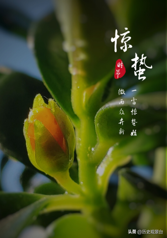 惊蛰习俗有哪些_惊蛰的传统习俗和讲究
