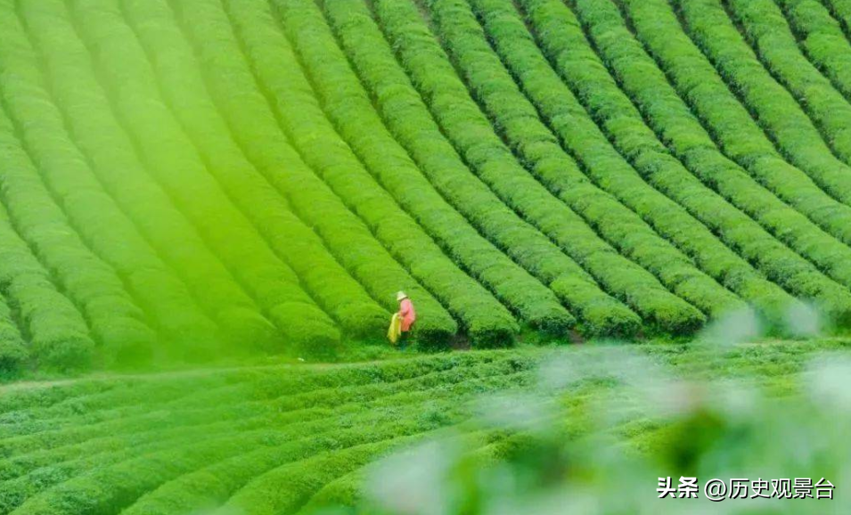 惊蛰习俗有哪些_惊蛰的传统习俗和讲究