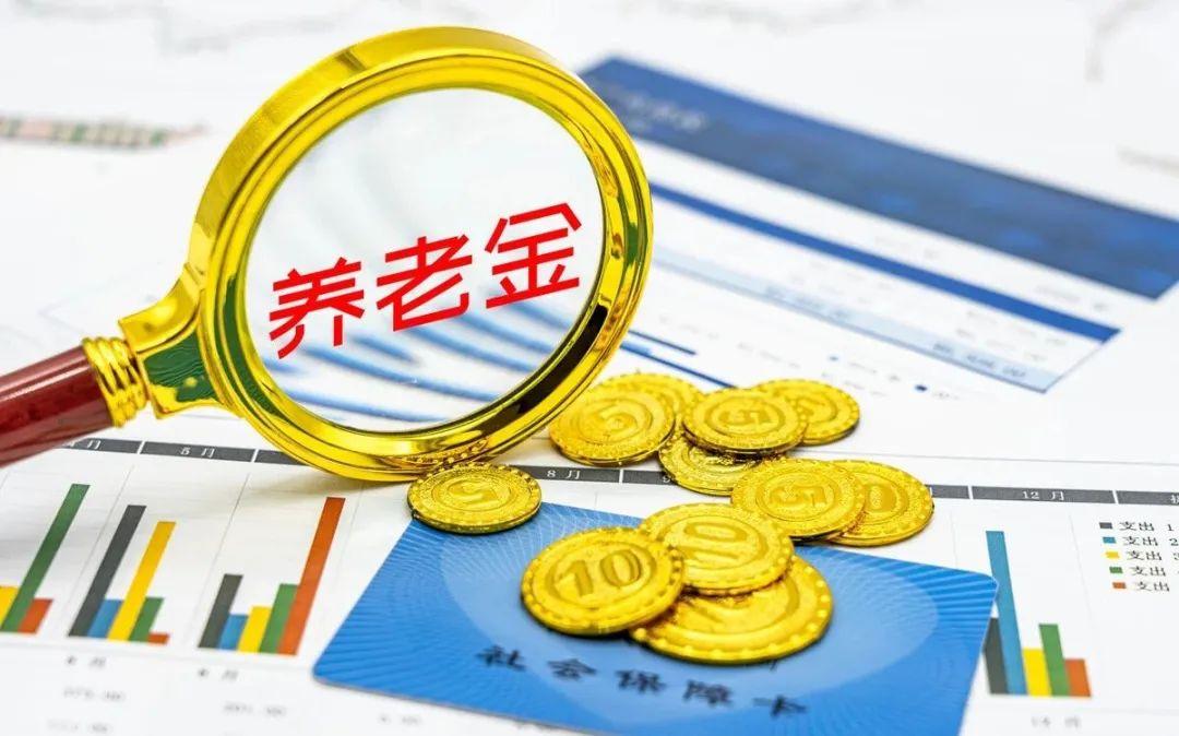 什么是养老金双轨制度_关于单位退休人员养老金发放