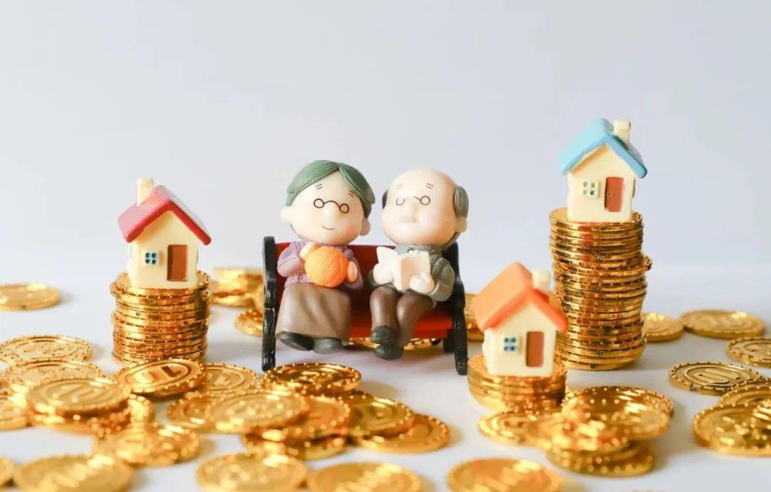 什么是养老金双轨制度_关于单位退休人员养老金发放