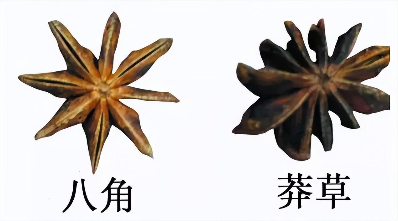 八角怎么选择_八角的选购和保存方法
