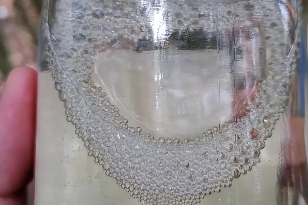 白酒真假如何辨别_白酒真假的辨别方法