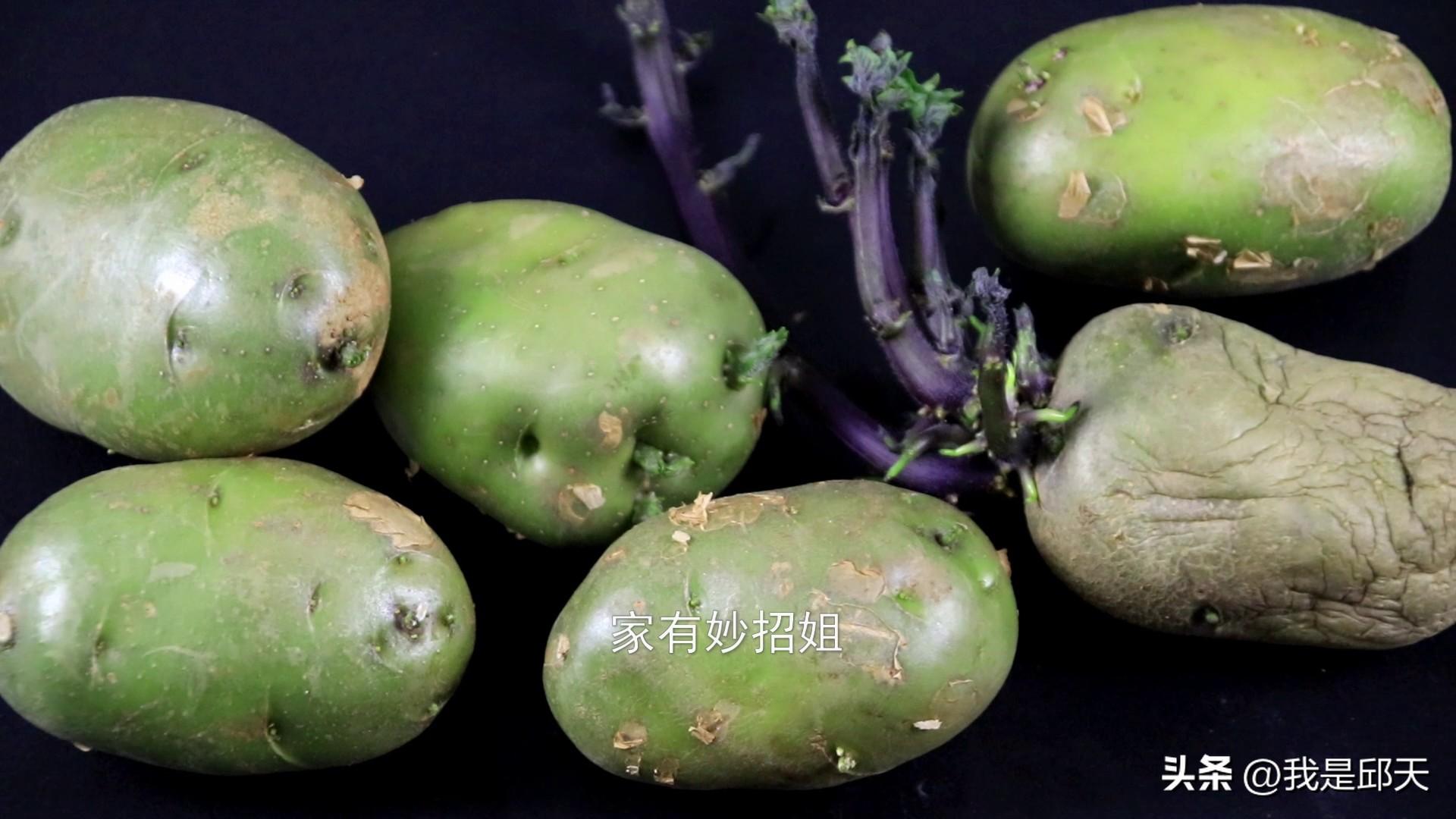 哪些蔬菜长了芽可以吃_不能吃的又有哪些