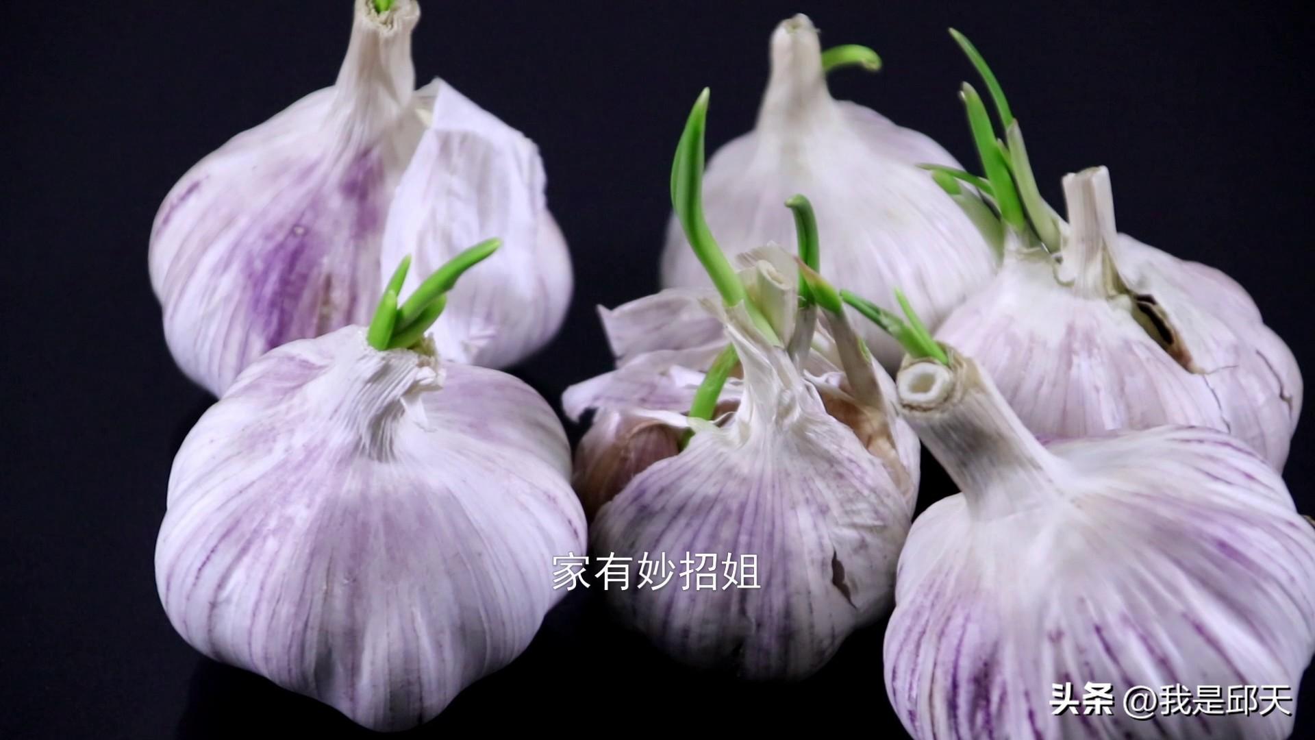 哪些蔬菜长了芽可以吃_不能吃的又有哪些
