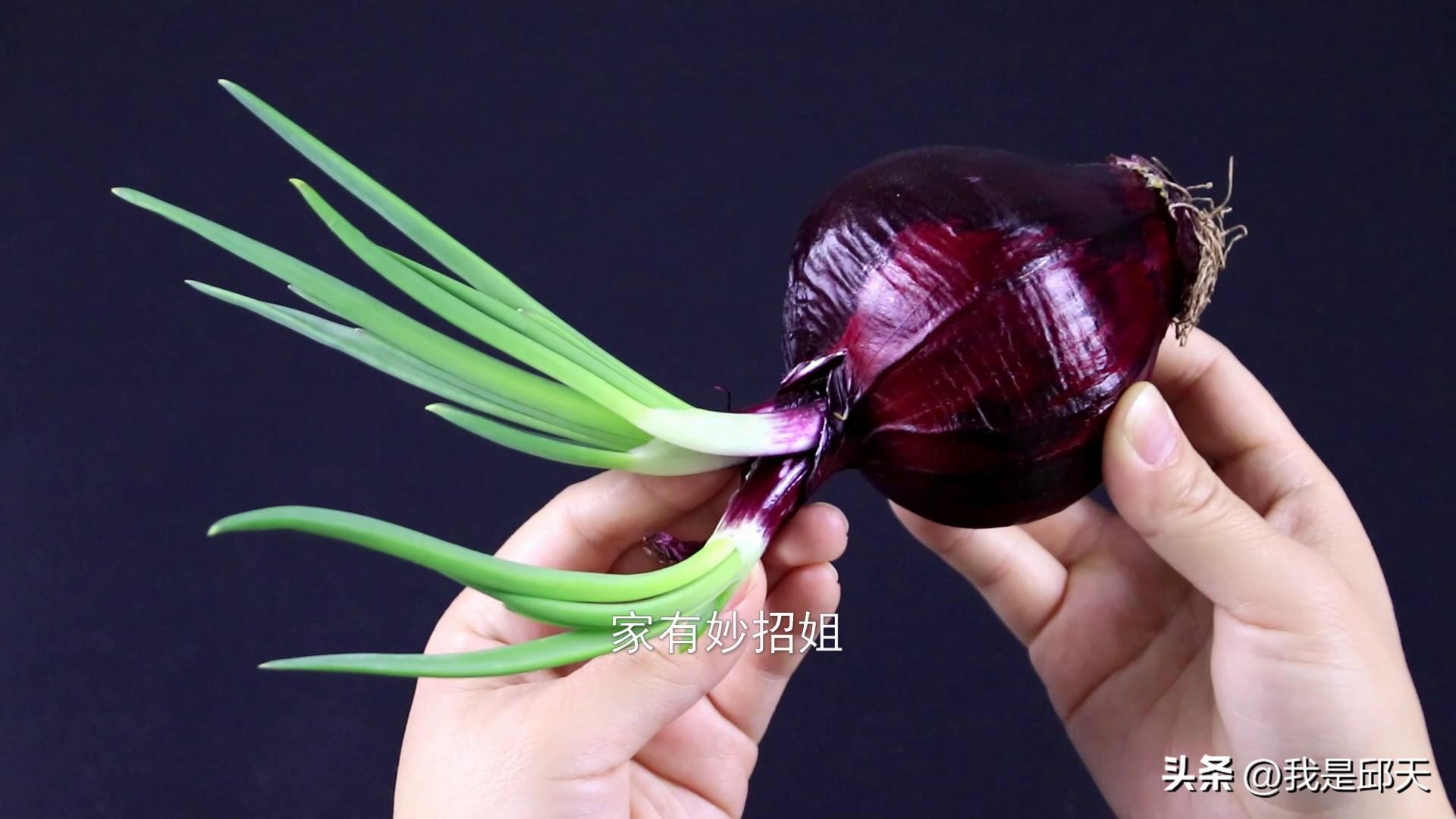 哪些蔬菜长了芽可以吃_不能吃的又有哪些