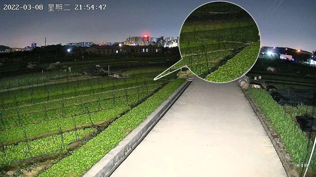 摄像头怎么选购_摄像头选购方法