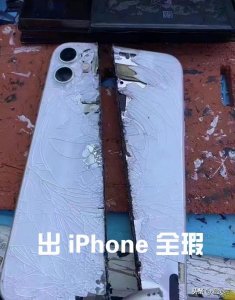 全瑕什么意思_全瑕的含义