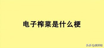 电子榨菜是什么意思_电子榨菜的由来