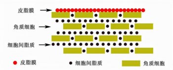 护肤品是怎么发挥作用的_保湿产品怎么选择