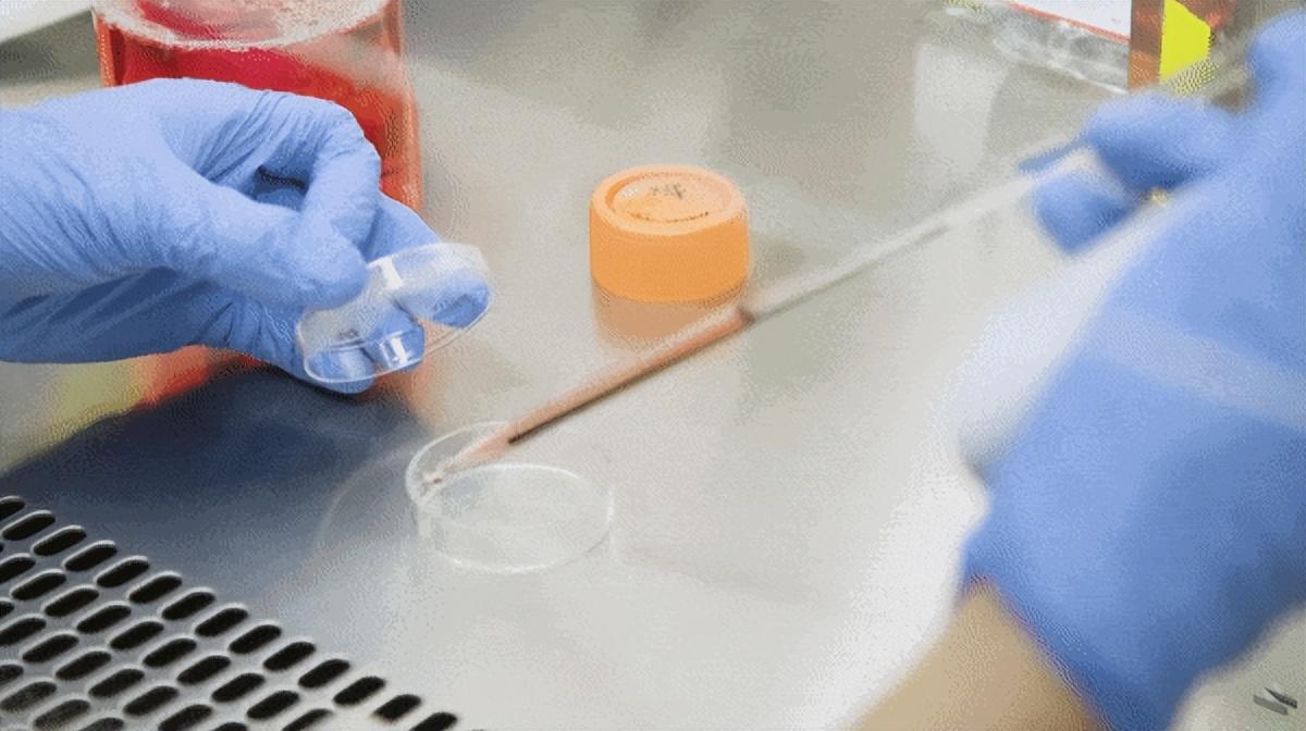 被淘汰的科学发明有哪些_消失的原因是什么