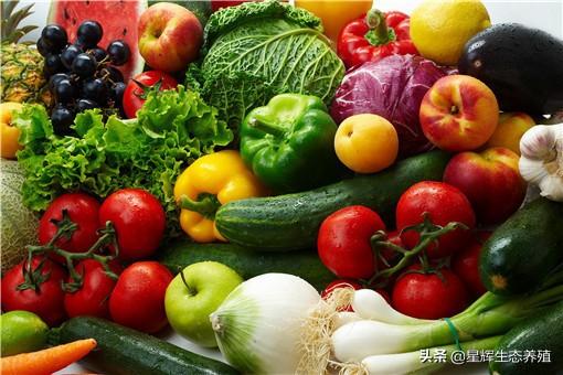 冬天种植的蔬菜有哪些_你知道吗