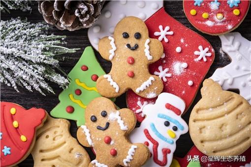 政府为什么禁止过圣诞节_一文解答