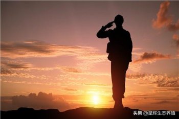 司令员是什么级别的官_司令员的具体军衔