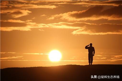 司令员是什么级别的官_司令员的具体军衔