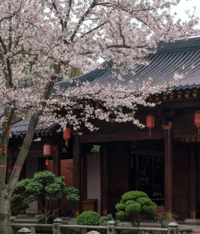 为什么年轻人爱上寺庙咖啡_你怎么看