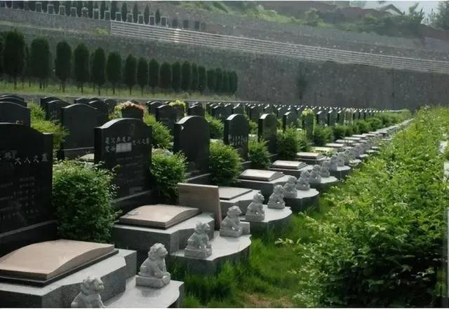 墓地能维持多长时间_墓地过期了怎么办