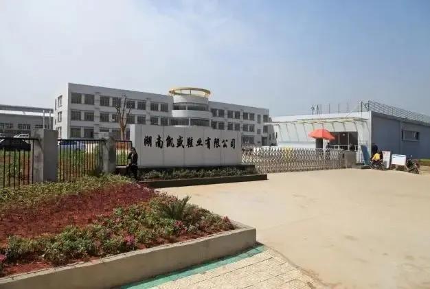 什么是有限_为什么公司名都带着有限两字