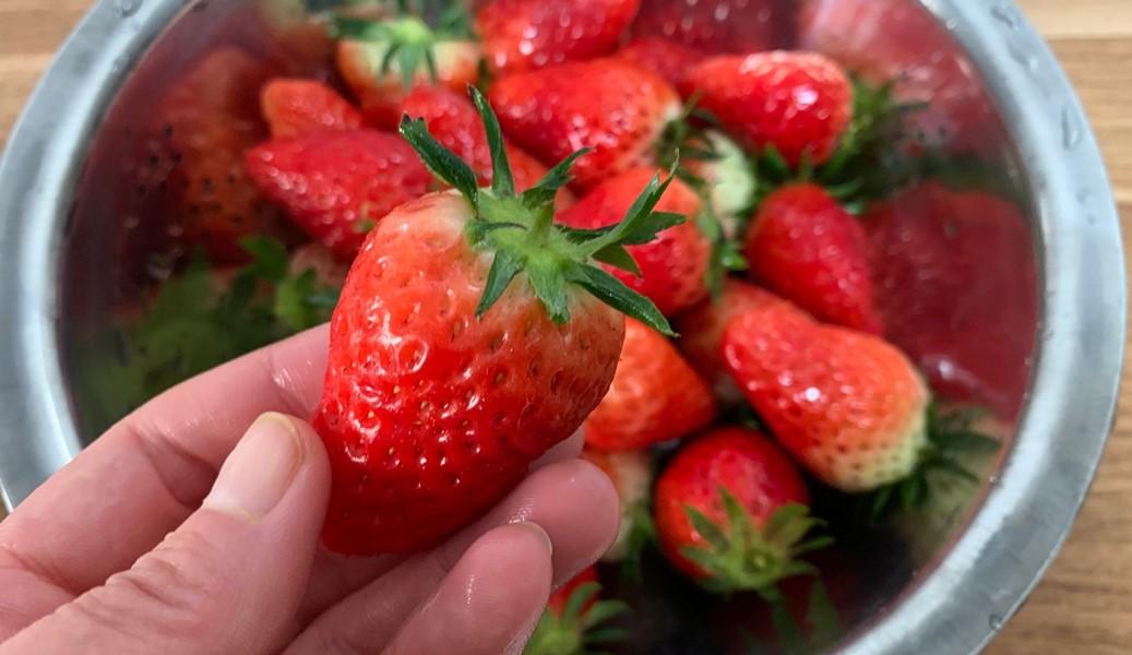 草莓怎样清洗_草莓清洗方法