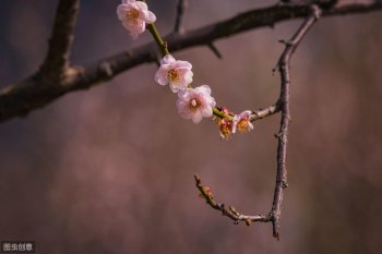 腊八节从何而来_腊八节的来历和习俗