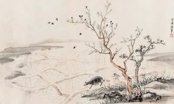 怎么看手相_手相里的大学问