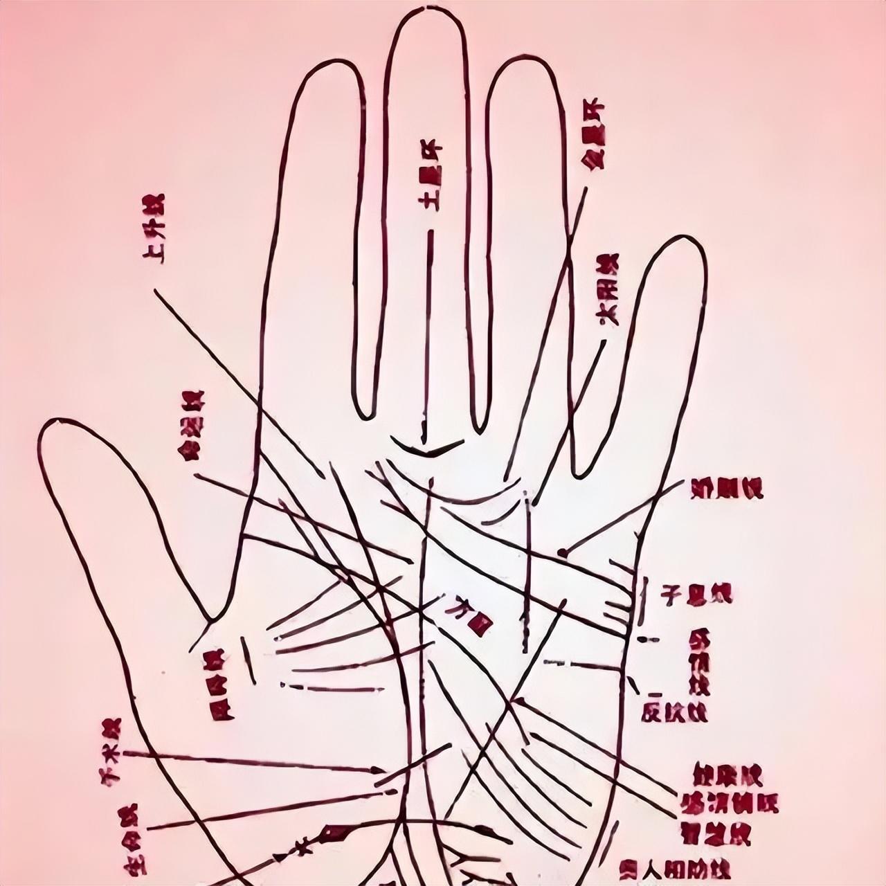 怎么看手相_手相里的大学问