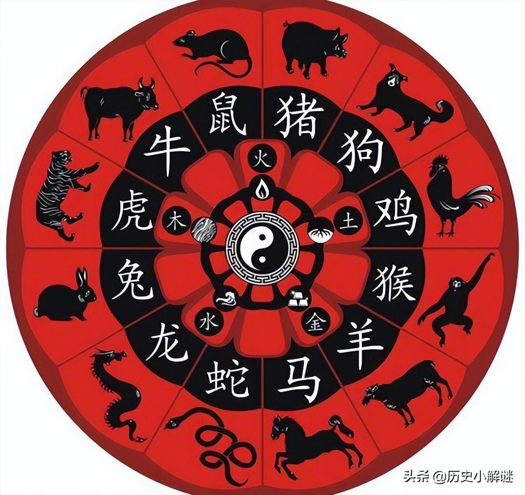 中国龙是一种什么动物_你知道吗