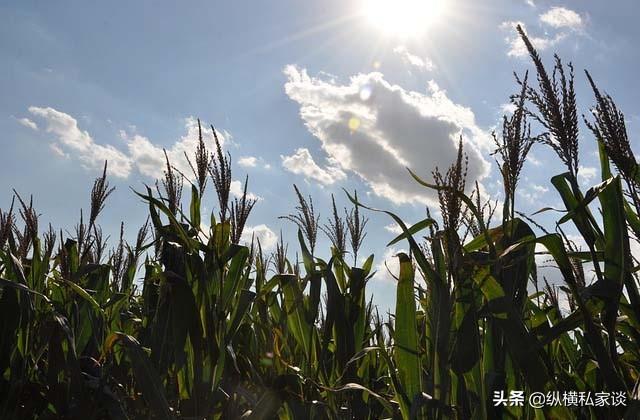 战国时期土地可以自由买卖吗_战国时期的土地政策