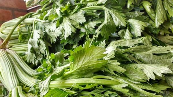 芹菜有什么好处_芹菜的营养价值