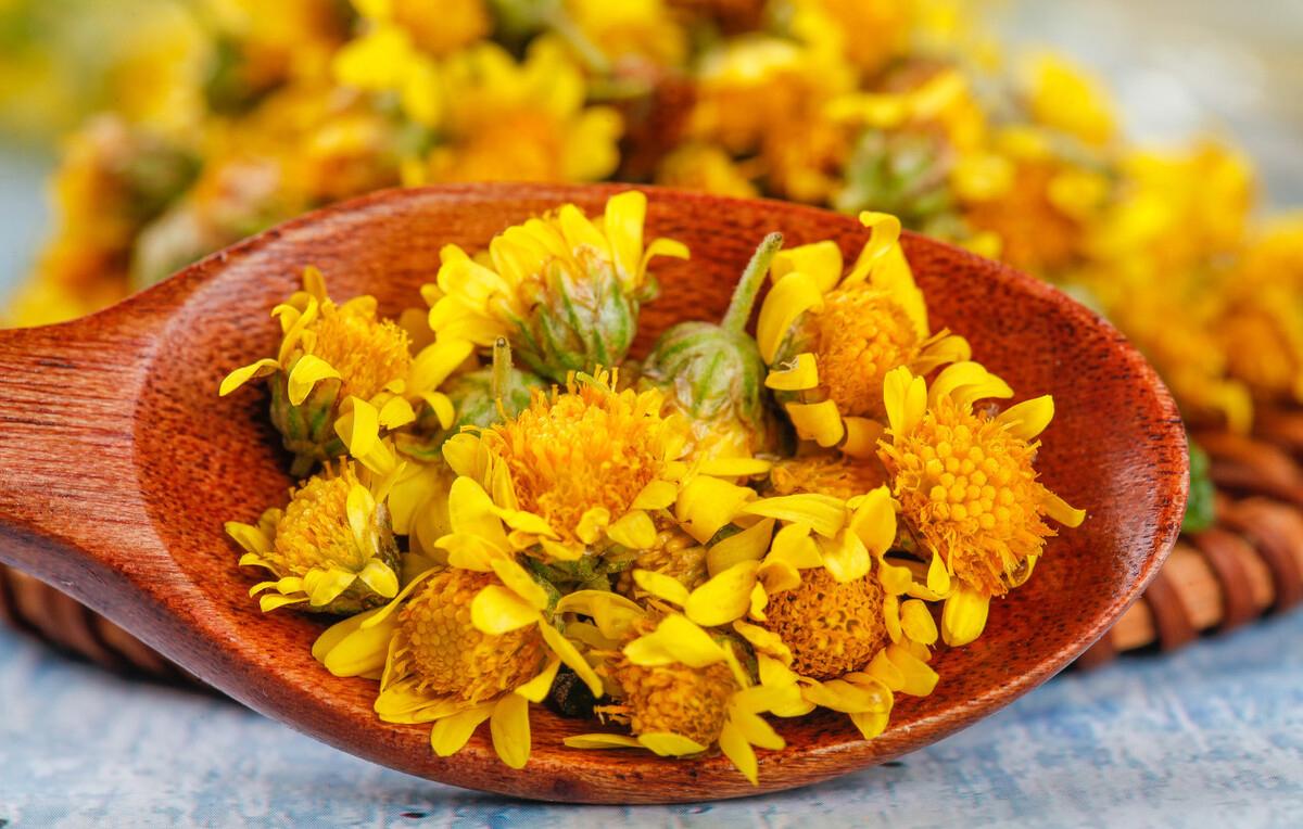 菊花茶有什么功效_菊花茶的功效和作用