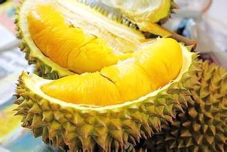 榴莲怎么挑选_榴莲的挑选技巧