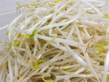 绿豆芽有什么功效_绿豆芽的营养成分与食用功效