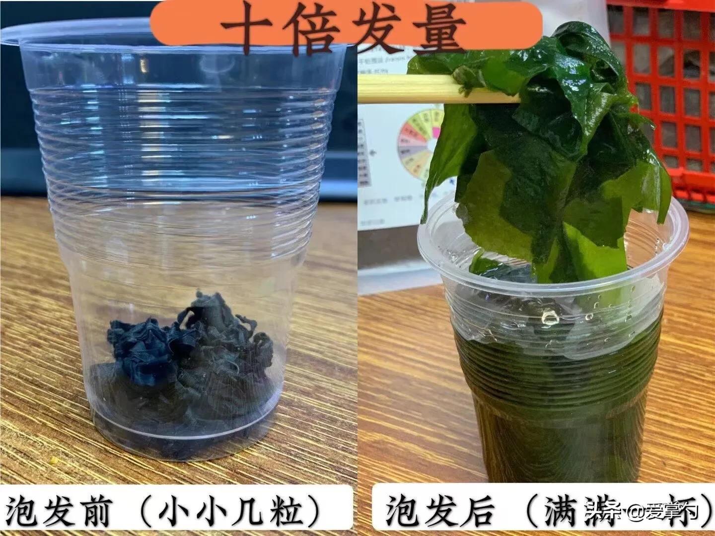 裙带菜怎么做_裙带菜的做法教程