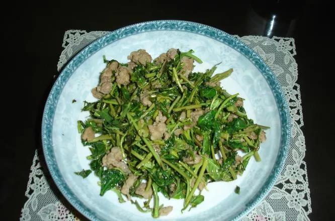 香椿芽有什么功效_香椿芽的成分及价值