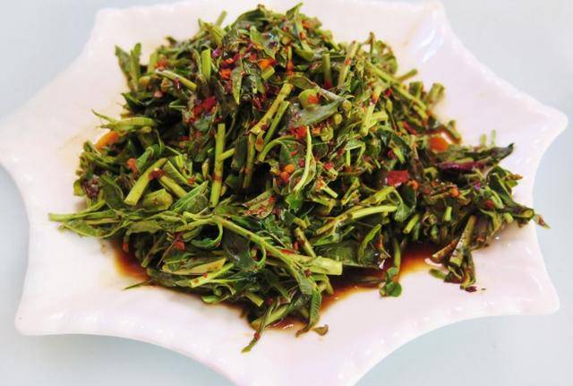 香椿芽有什么功效_香椿芽的成分及价值