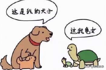 古代为何称儿子为犬子女儿为千金_你知道什么含义吗