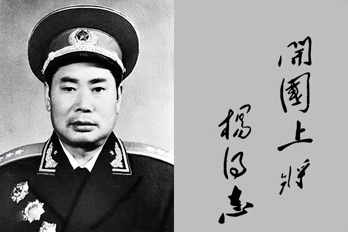 三杨开泰必定胜利指谁_三杨开泰必定胜利的代表人物