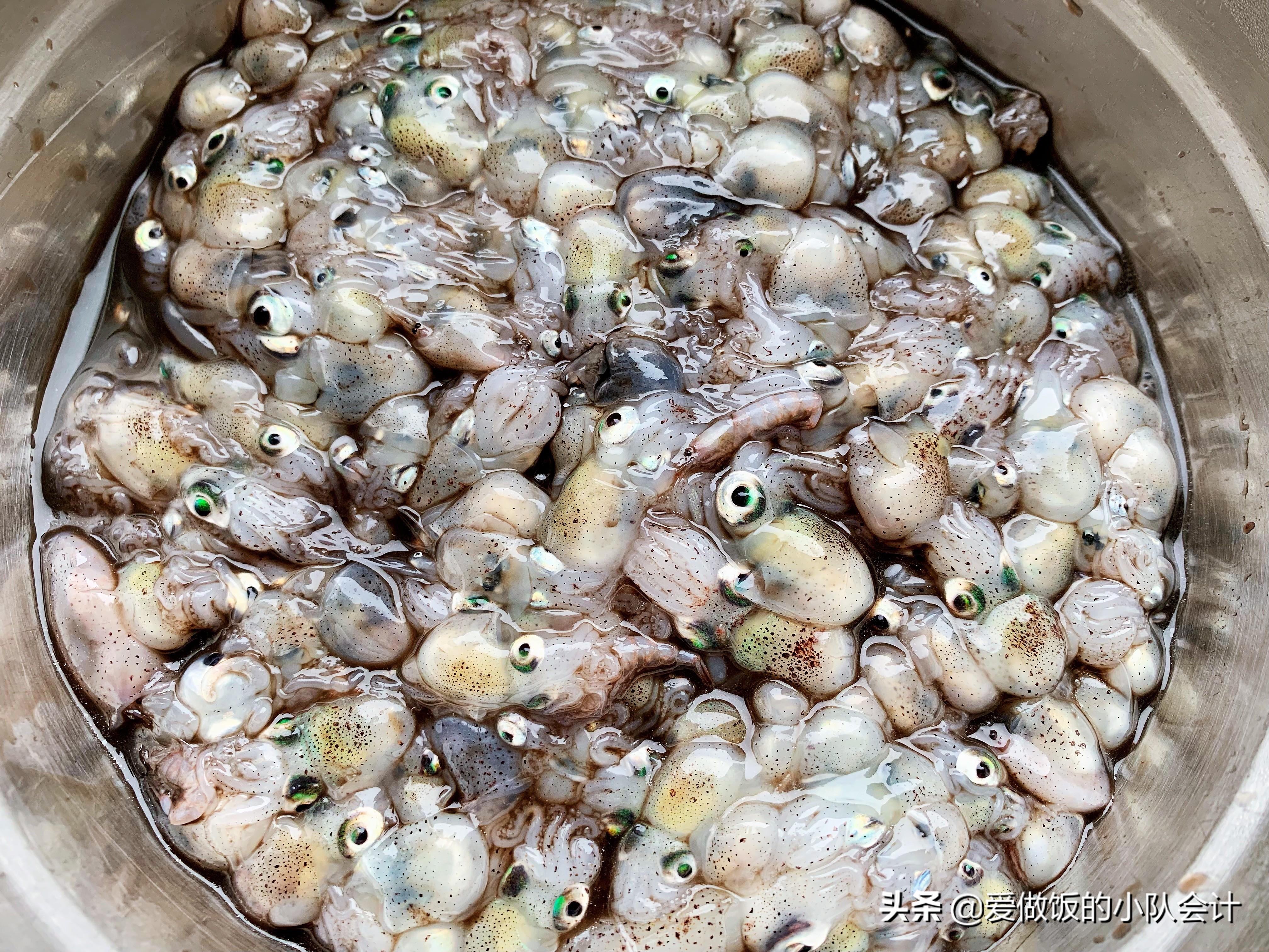 什么是墨鱼豆_墨鱼豆怎么吃