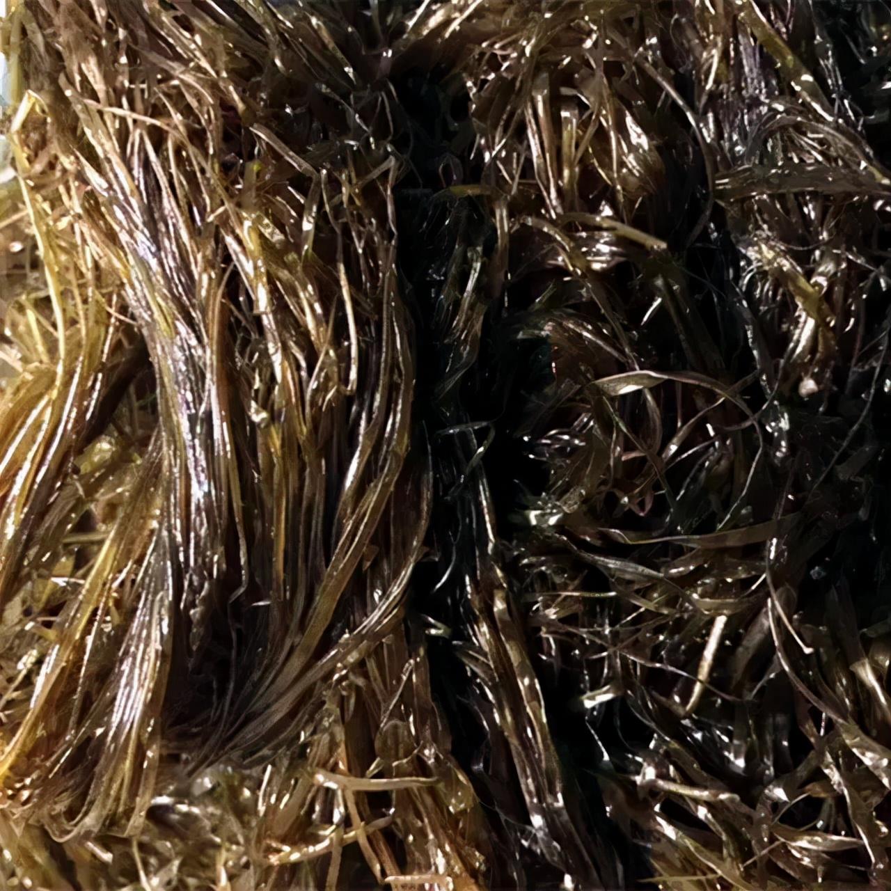 什么是海麻线_海麻线的特征和做法