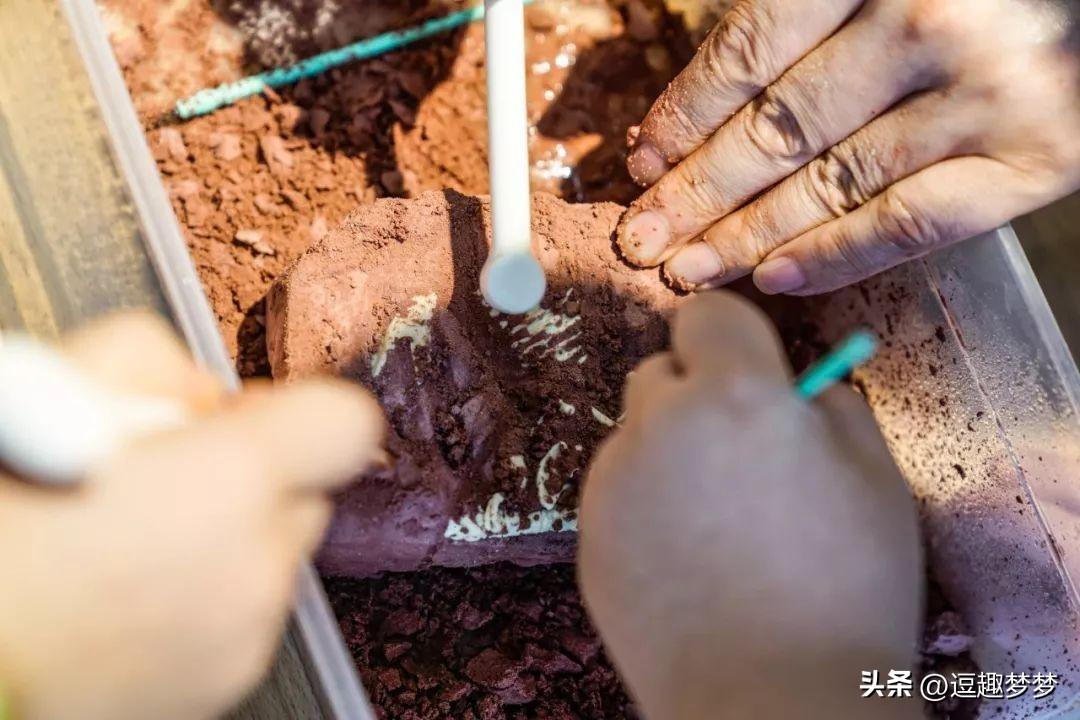 现在都提倡火葬_未来考古学家挖什么