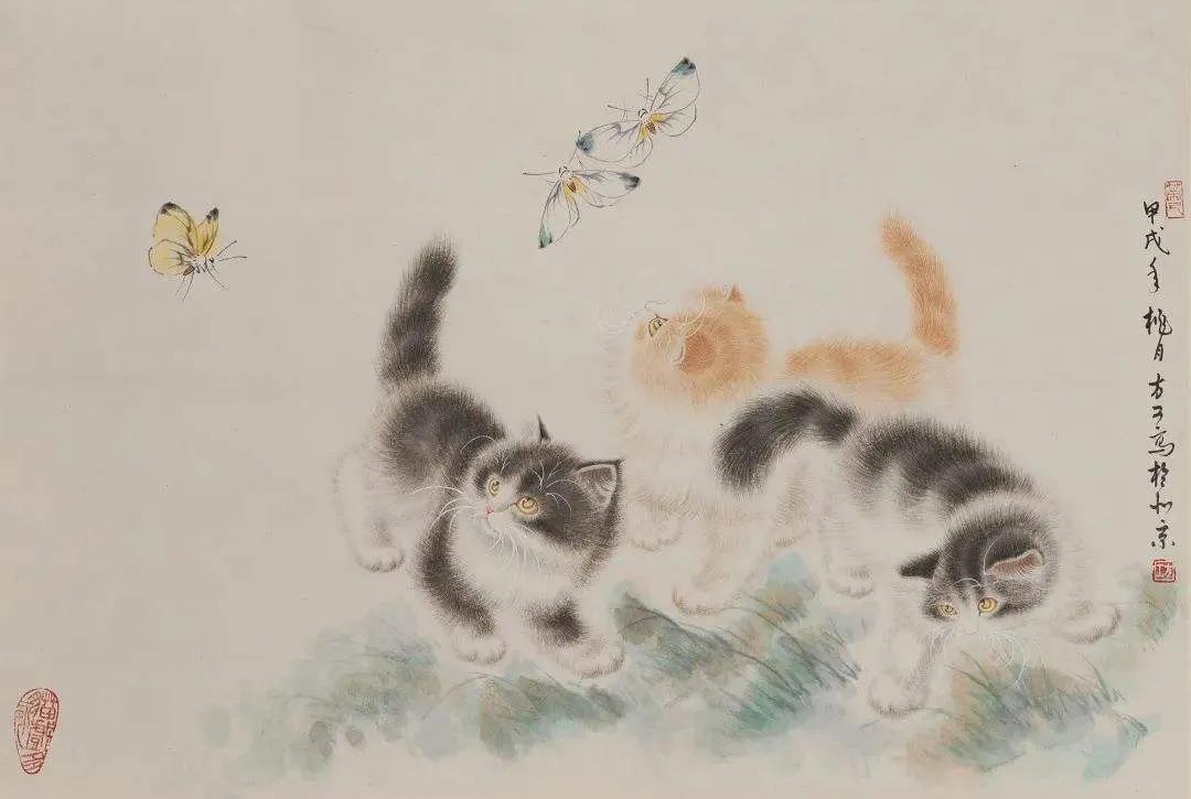 什么是猫蝶图_猫蝶图的画卷