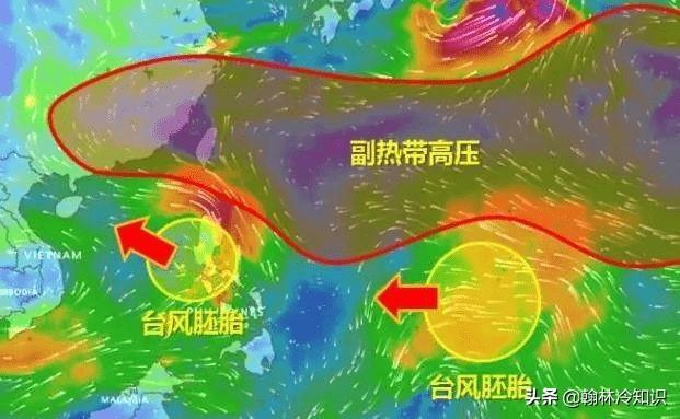 台风是怎么命名的_台风的命名规则是什么