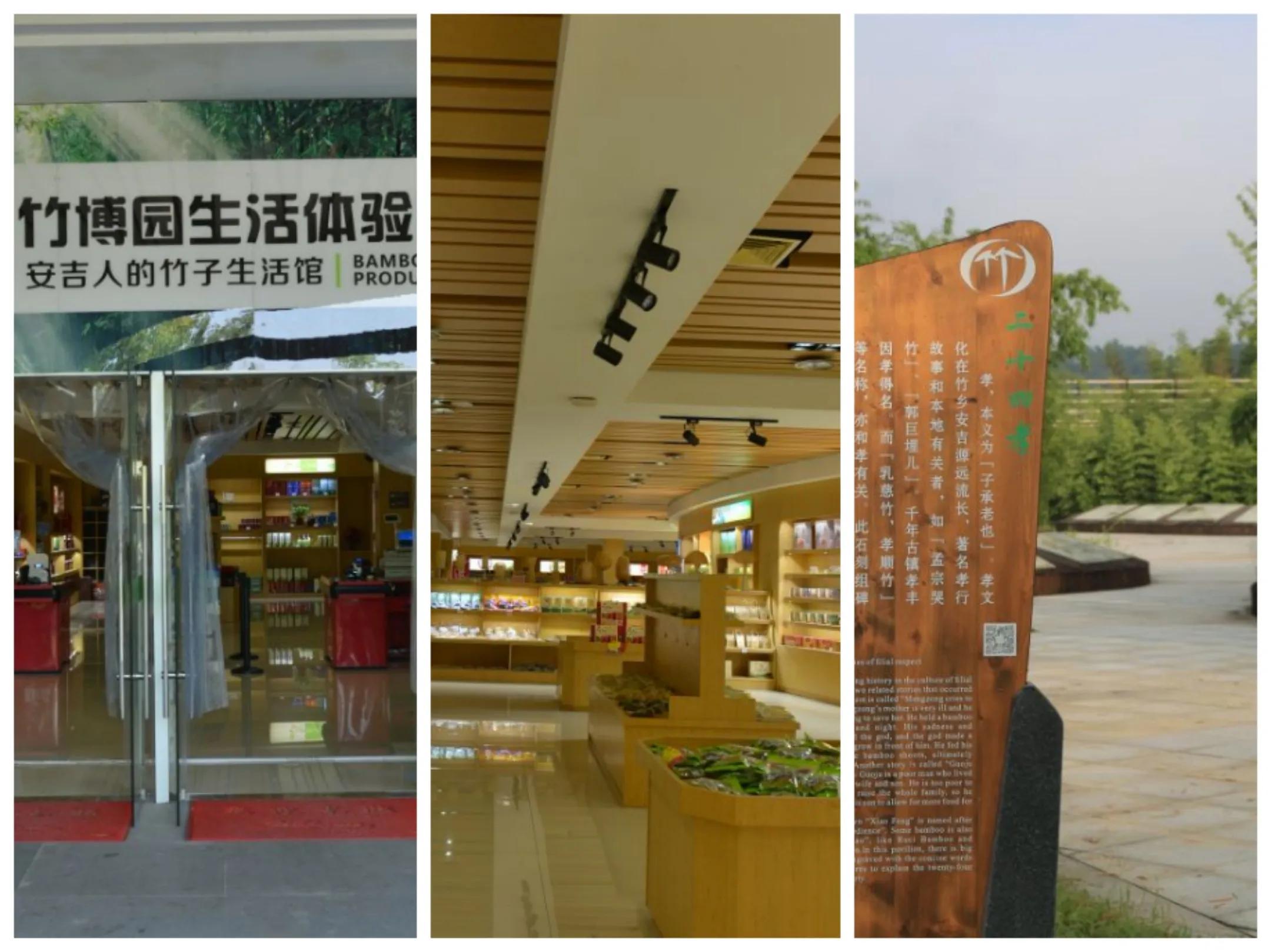 竹子究竟是什么_竹子的特征和作用