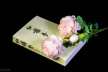 红楼梦写的是哪个朝代的故事_你知道吗